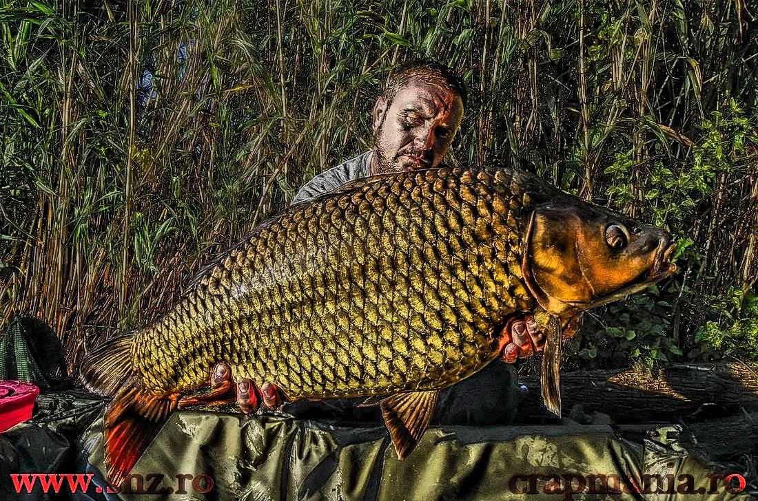 Debutmania - 2013 (3) - 1030730hdrmode2.JPG